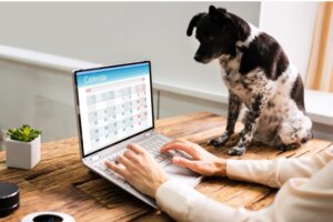 Köpeğiniz İçin Bir Rutin Oluşturmak: 6 Uygulama